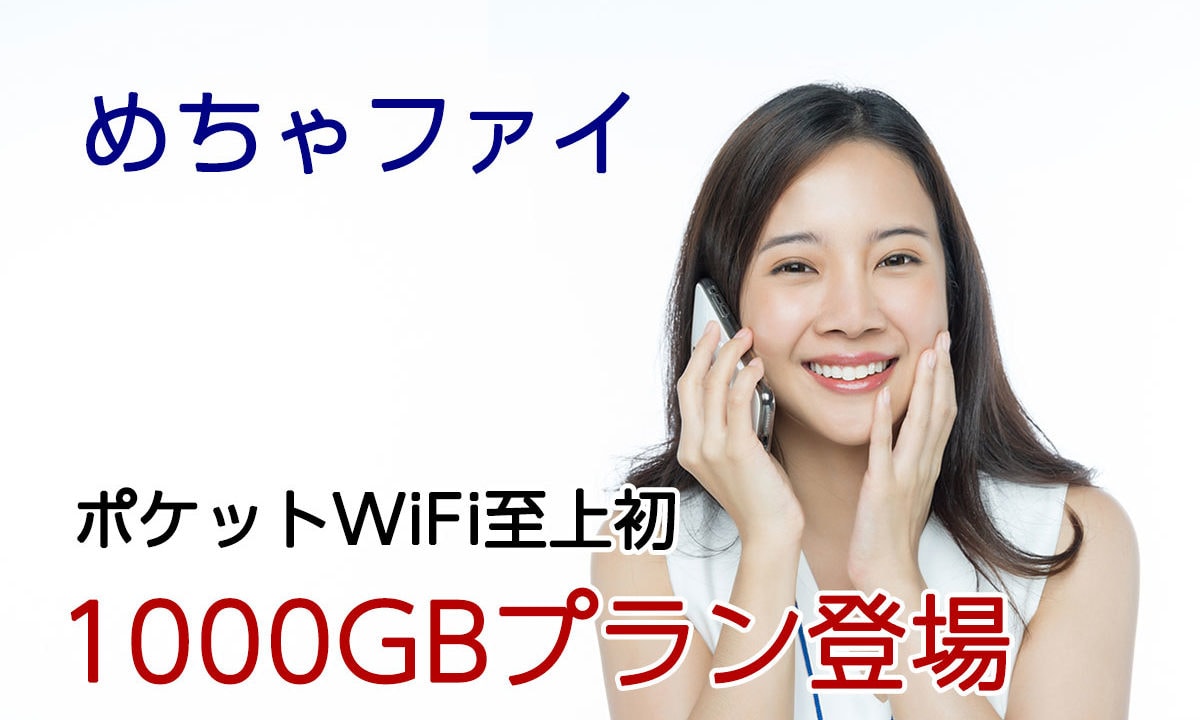 高額注意 めちゃファイの料金 デメリット 評判を徹底調査 おすすめしない理由とは 回線boy